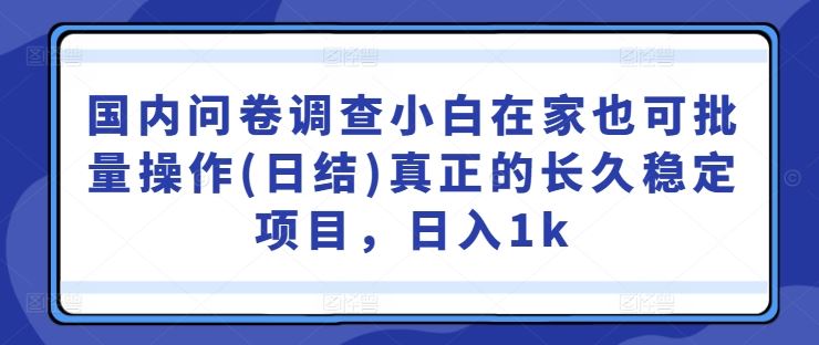 国内问卷调查小白在家也可批量操作(日结)真正的长久稳定项目，日入1k【揭秘】-一起网创