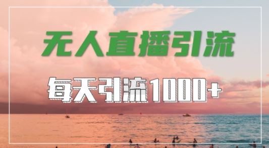 抖音快手视频号全平台通用，无人直播引流法，超暴力引流1000+高质量精准创业粉【揭秘】-一起网创